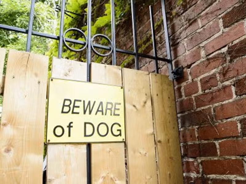 Dog Bite Lawyer in Tracy, CA